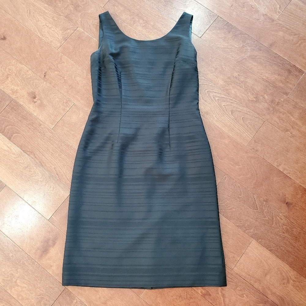Anne Klein form fitted dress